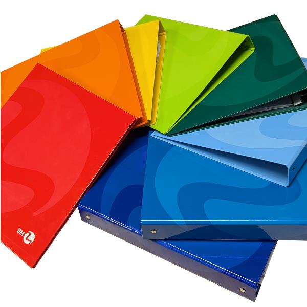 RACCOGLITORE AD ANELLI COLOR A4 D.30 MM 2