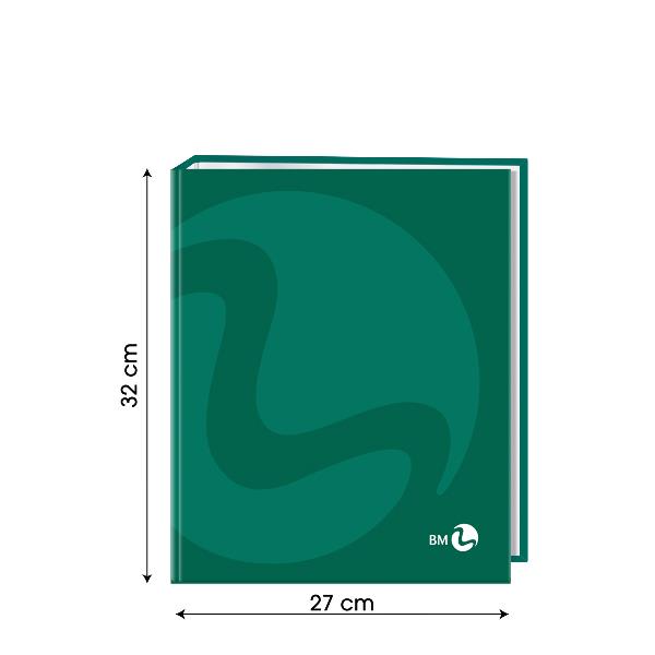 RACCOGLITORE AD ANELLI COLOR A4 D.30 MM 5