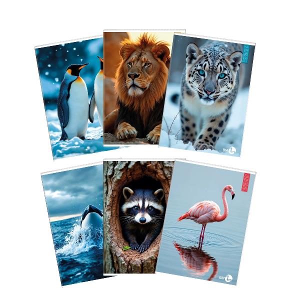 QUADERNI ANIMAL A4 80GR A - CONF10 3