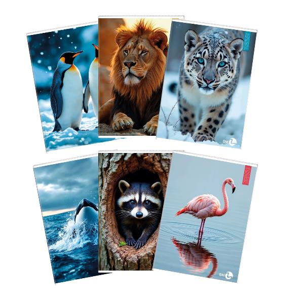 QUADERNI ANIMAL A4 80GR C - CONF10 3