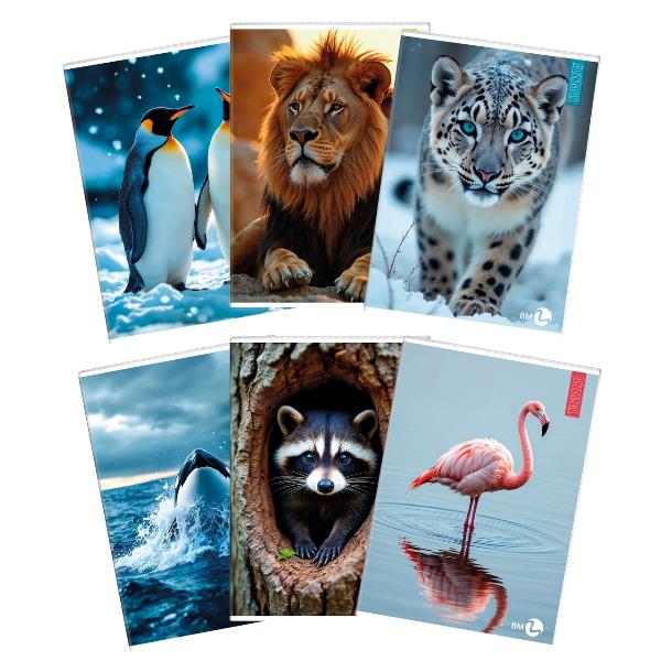 BM - BeMore QUADERNI ANIMAL A4 80GR 4MM - CONF10