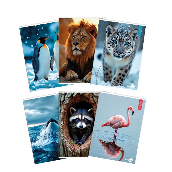 QUADERNI ANIMAL A4 80GR 4MM - CONF10 6