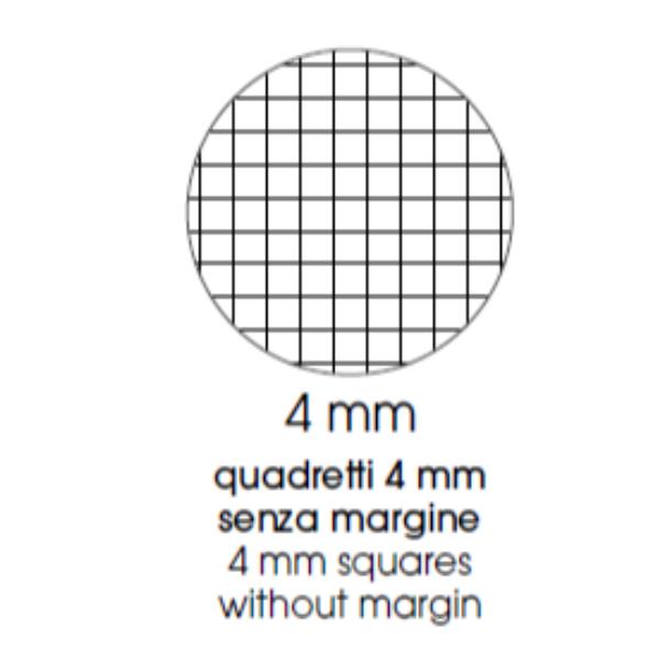 QUADERNI ANIMAL A4 80GR 4MM - CONF10 7