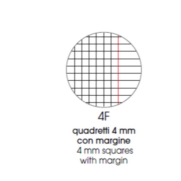 QUADERNI COLOR BASIC A4 80GR 4F - CONF10 4
