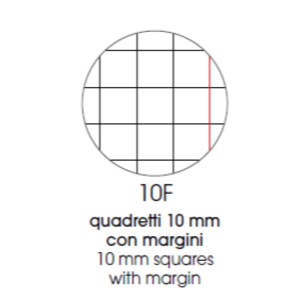 QUADERNI ANIMAL A4 80GR 10F - CONF10 7
