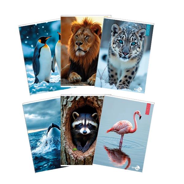 QUADERNI ANIMAL A4 80GR 10F - CONF10 8