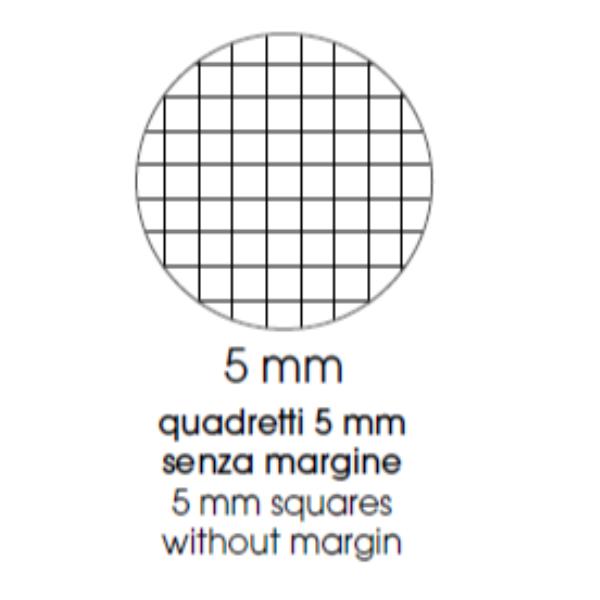 QUADERNO MAXI CARTONATO A4 70GR 5MM - CONF4 5