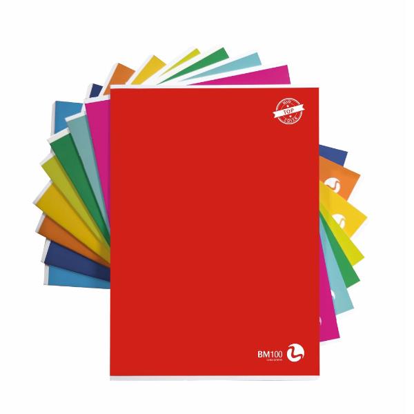 QUADERNO BM100 2