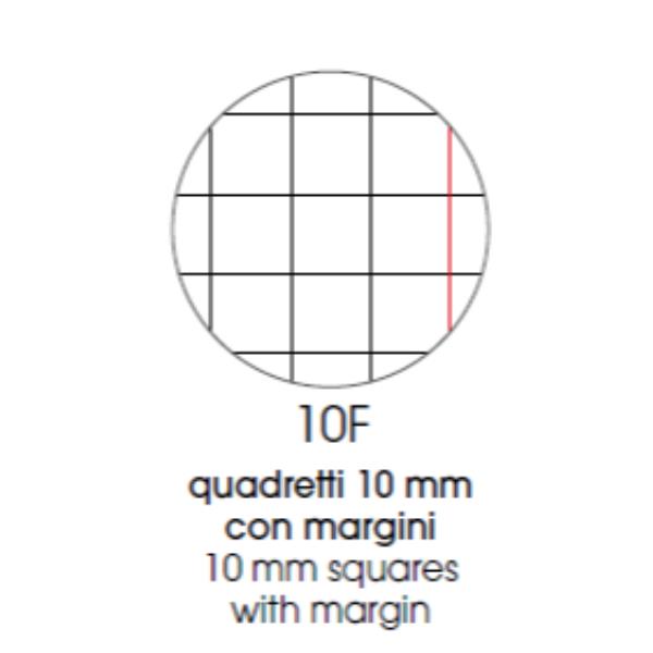 RICAMBI RINFORZATI BANDUP A4 100GR - 10F 3
