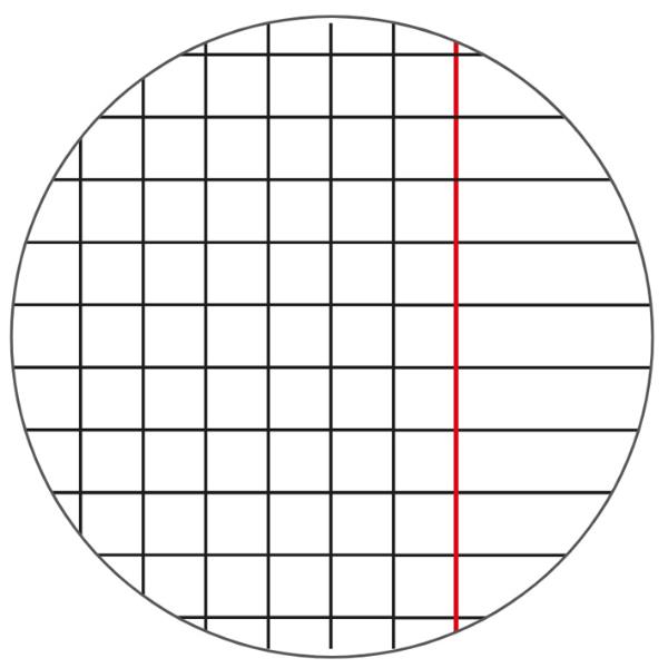 MAXI QUADERNI A4 PROFUMATI 9