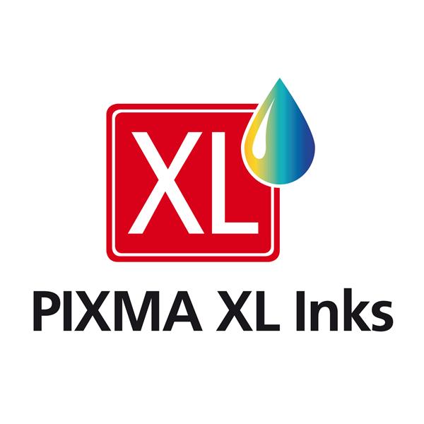 PGI-570 XL Black (Conf. 2 pz) 4