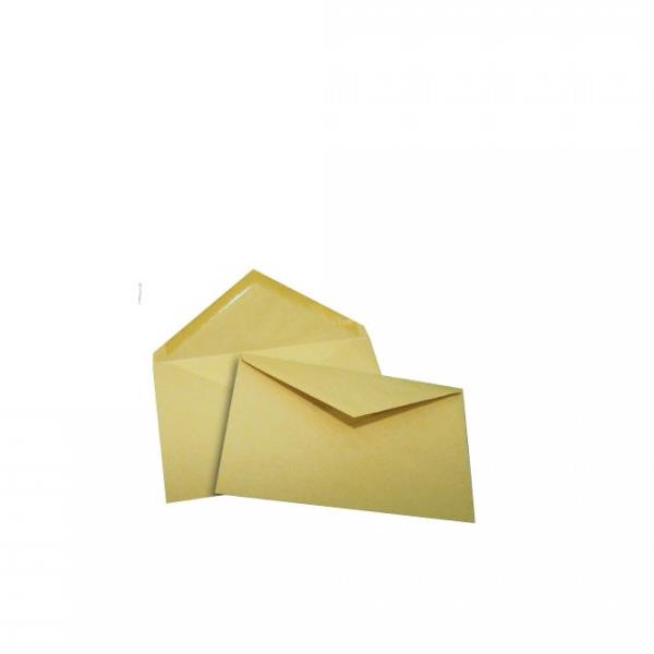 PIGNA CF25 BUSTE GIALLO POSTA 120X180 GP79