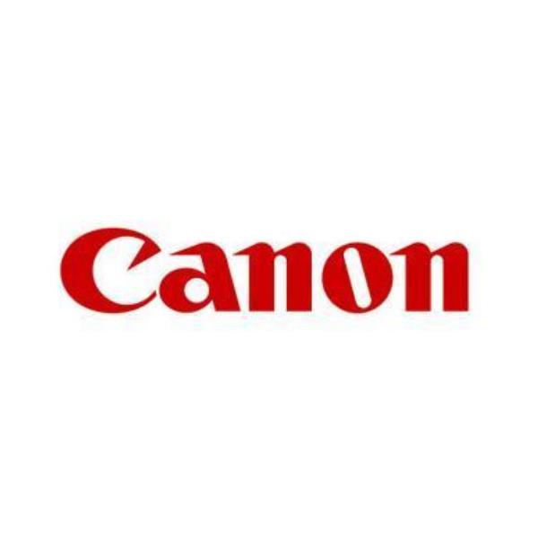 CONSUMABILI CANON OFFICE PFI-1700 PGY GREY (PHOTO GREY)700ML
