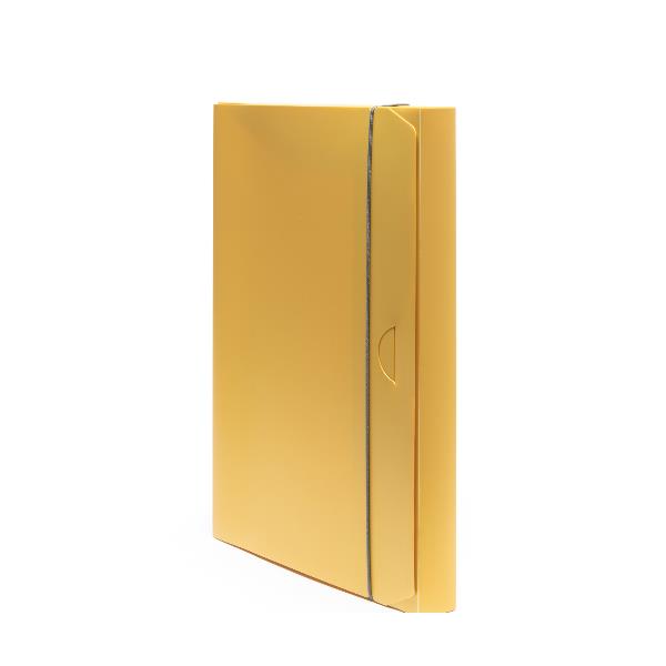 FELLOWES LEONARDI Cartella progetto Holos 3 giallo in plastica riciclata