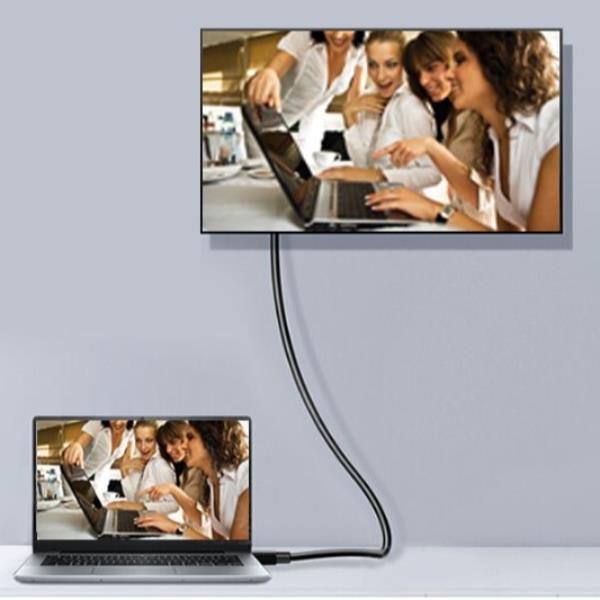 EQUIP - CAVO DISPLAYPORT 1.2 4K/60Hz M/M, 1.0m 3
