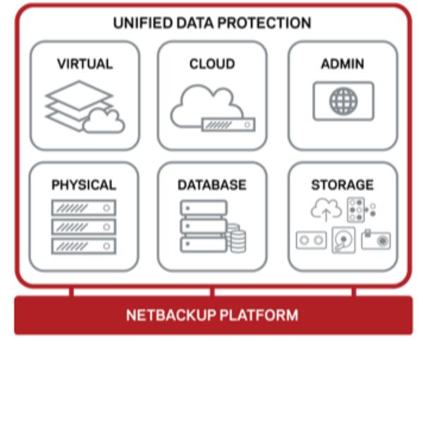 COHESITY NetBackup