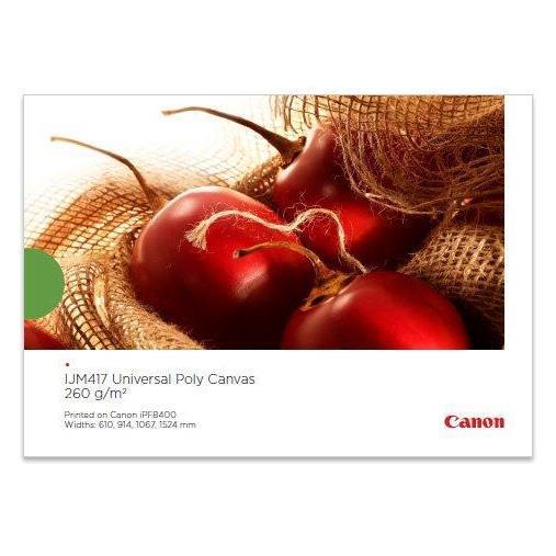 IJM417 POLY CANVAS 2
