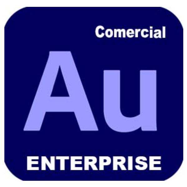 Adobe VIP marketplace ADOBE AUDITION ENTERP MULTI