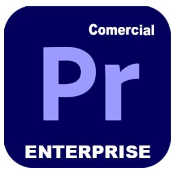 Adobe VIP marketplace ADOBE PREMIERE PRO ENTERP MULTI