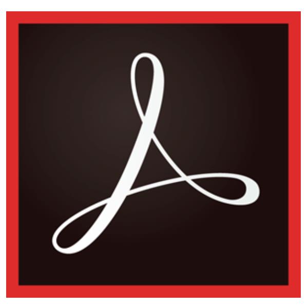 ACROBAT PRO TEAMS MULTI 2