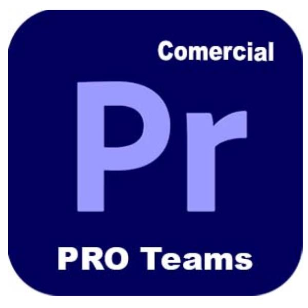 Adobe VIP marketplace PREMIERE PRO PRO TEAMS MULTI