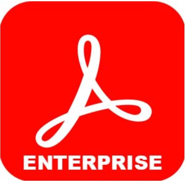 ACROBAT STANDARD DC ENTERP. MULTI 2