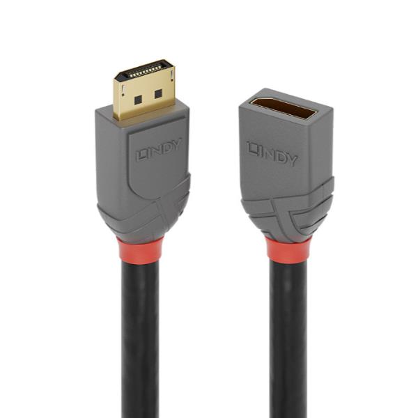 Lindy Prolunga DisplayPort 1.4 Anthra Line, 3m