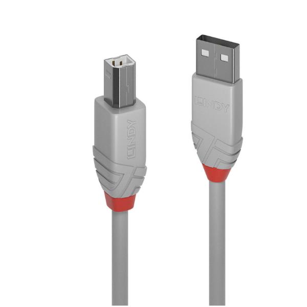 Cavo USB 2.0 Tipo A a B Anthra Line 2