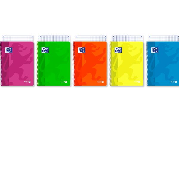 FAVORIT ON NEON 2