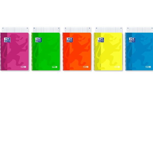 OXFORD FAVORIT ON NEON