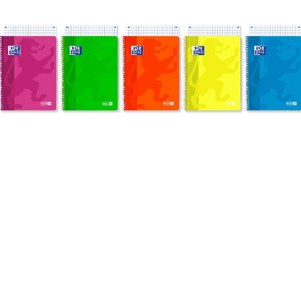 FAVORIT ON NEON 2