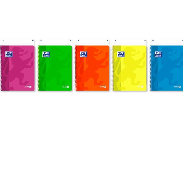 OXFORD FAVORIT ON NEON