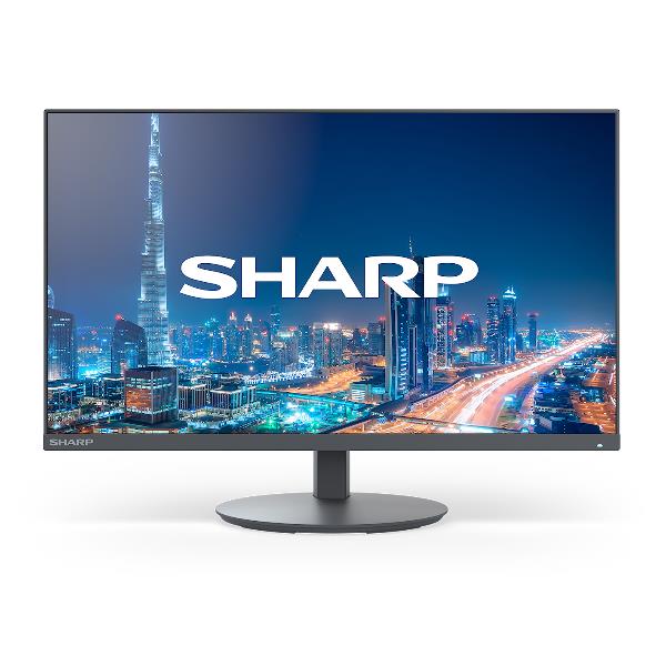 SHARP/NEC E244FL