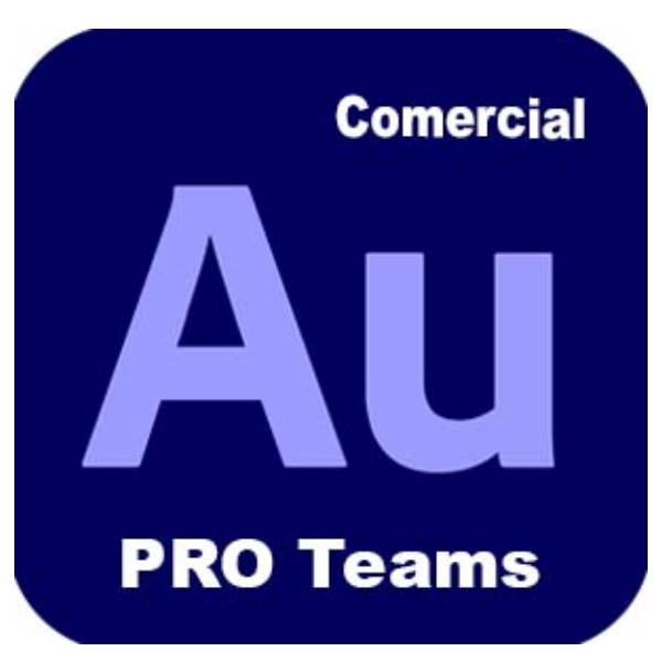 AUDITION - PRO TEAMS MULTI 2