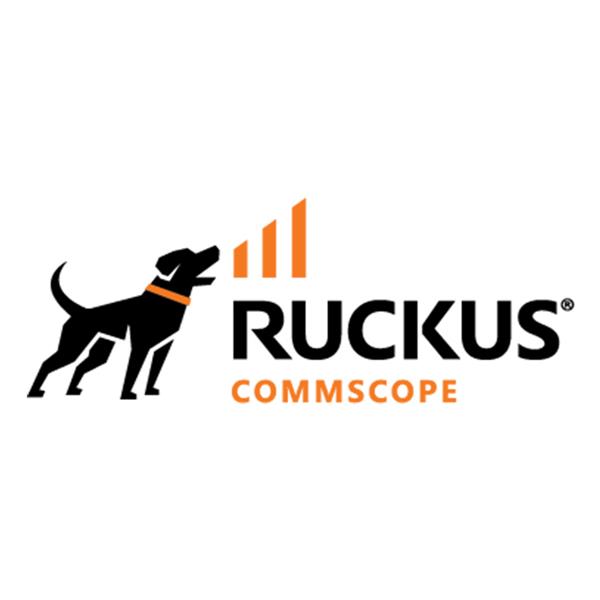 RUCKUS NETWORKS 826-RU55-3000