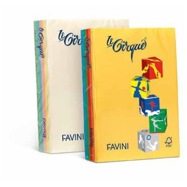 LE CIRQUE Forti Mix – A4 5 Colori - 80g/m2 - 500 fogli 2