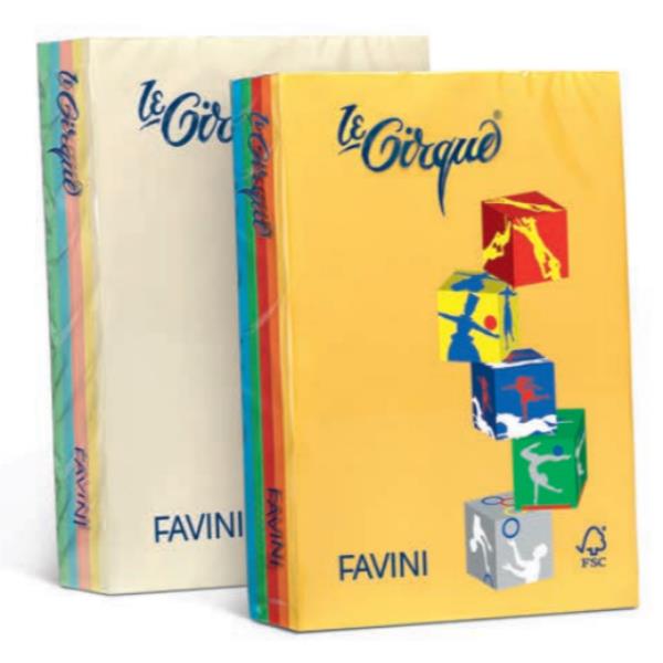 RISMA LE CIRQUE A4 80GR 500 FOGLI - COLORI TENUI e FORTI 4