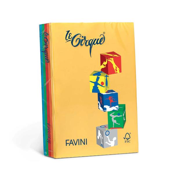 LE CIRQUE A4 160GR 250 FOGLI - COLORI TENUI e FORTI 3