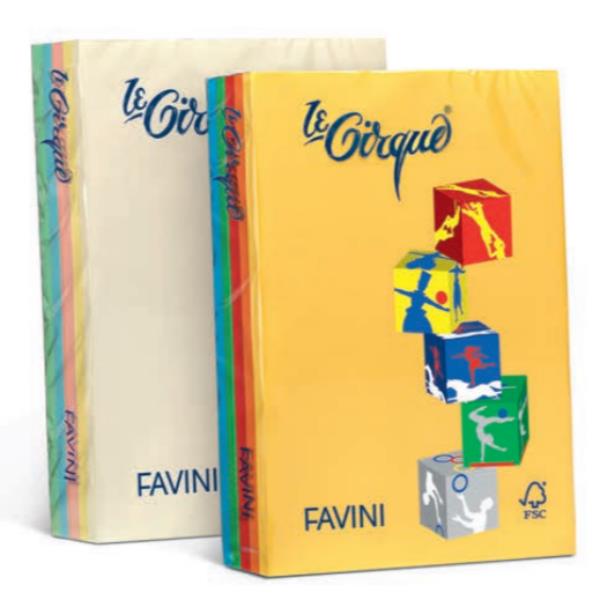 LE CIRQUE A4 160GR 250 FOGLI - COLORI TENUI e FORTI 4