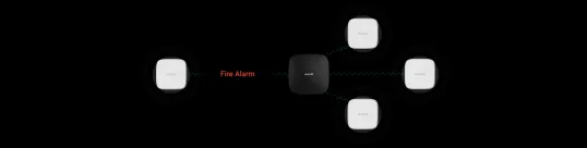 Ajax FireProtect 2 RB (CO) ASP black 4