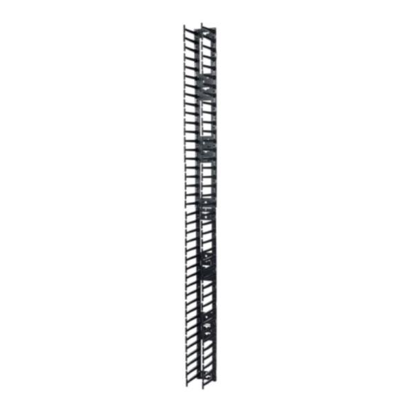 AR7580A - Gestore cavi verticale per NetShelter SX 750mm largo 42U 2