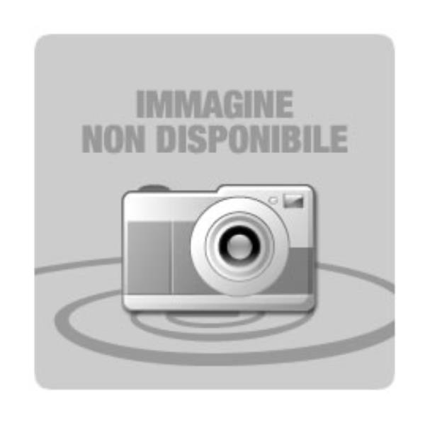 CONSUMABILI OLIVETTI B0900