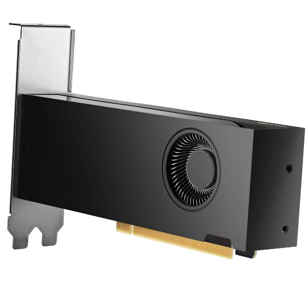 HP INC HP NVIDIA RTX PRO 2000 Blackwell da 16 GB