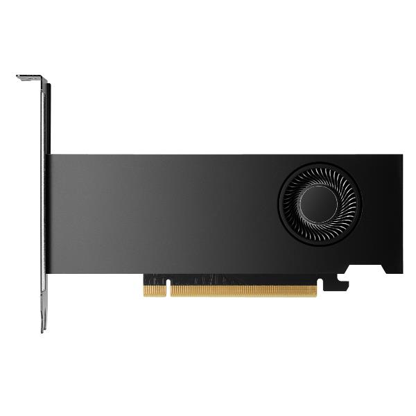 HP NVIDIA RTX PRO 2000 Blackwell da 16 GB 4