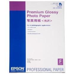 EPSON GRAFICO C13S042091