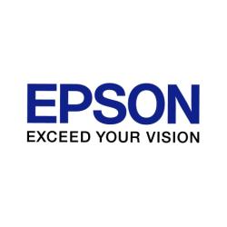 EPSON GRAFICO T591