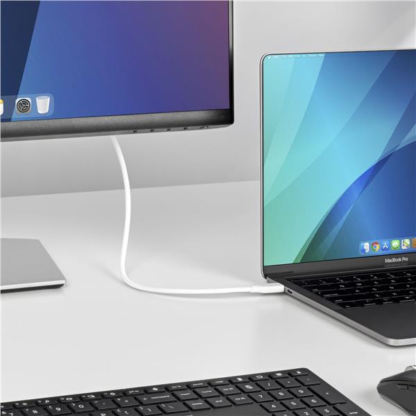 Cavo USB-C a DisplayPort da 2m 2