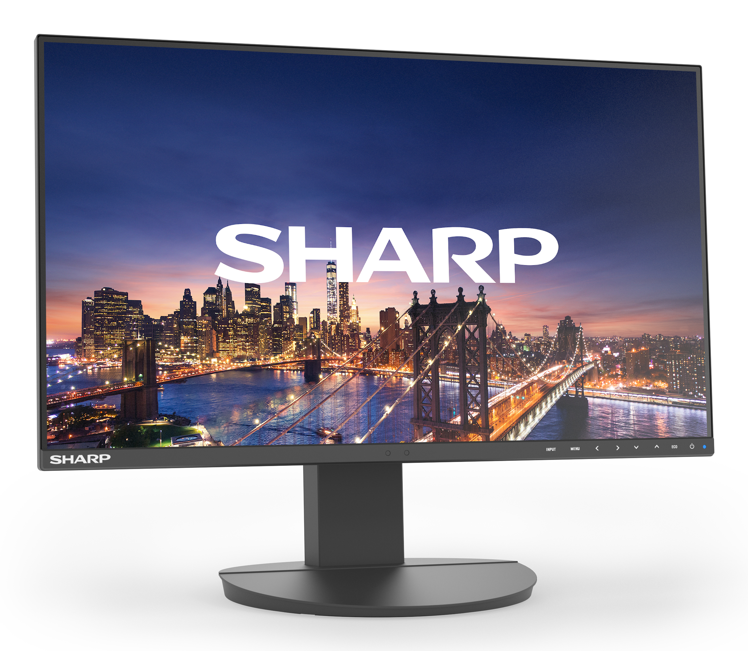 SHARP/NEC EA241F