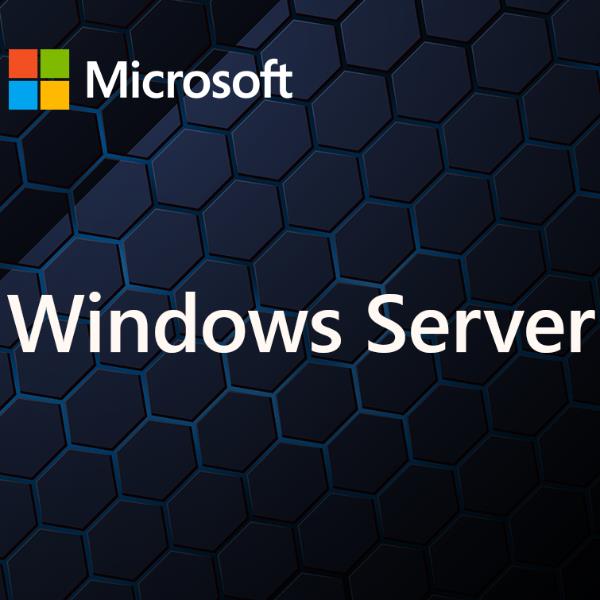 MICROSOFT OEM Windows Server CAL 2025 Italian 1pk DSP OEI 5 Clt Device CAL