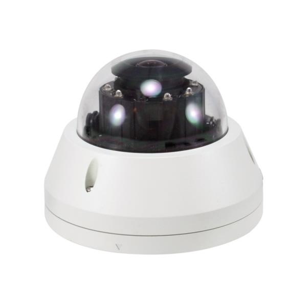 LEVELONE FCS-3307 - TELECAMERA IP HUBBLE DOME FISSA 5MP, POE 802.3af, Audio 2-vie, IP68, IK10 5